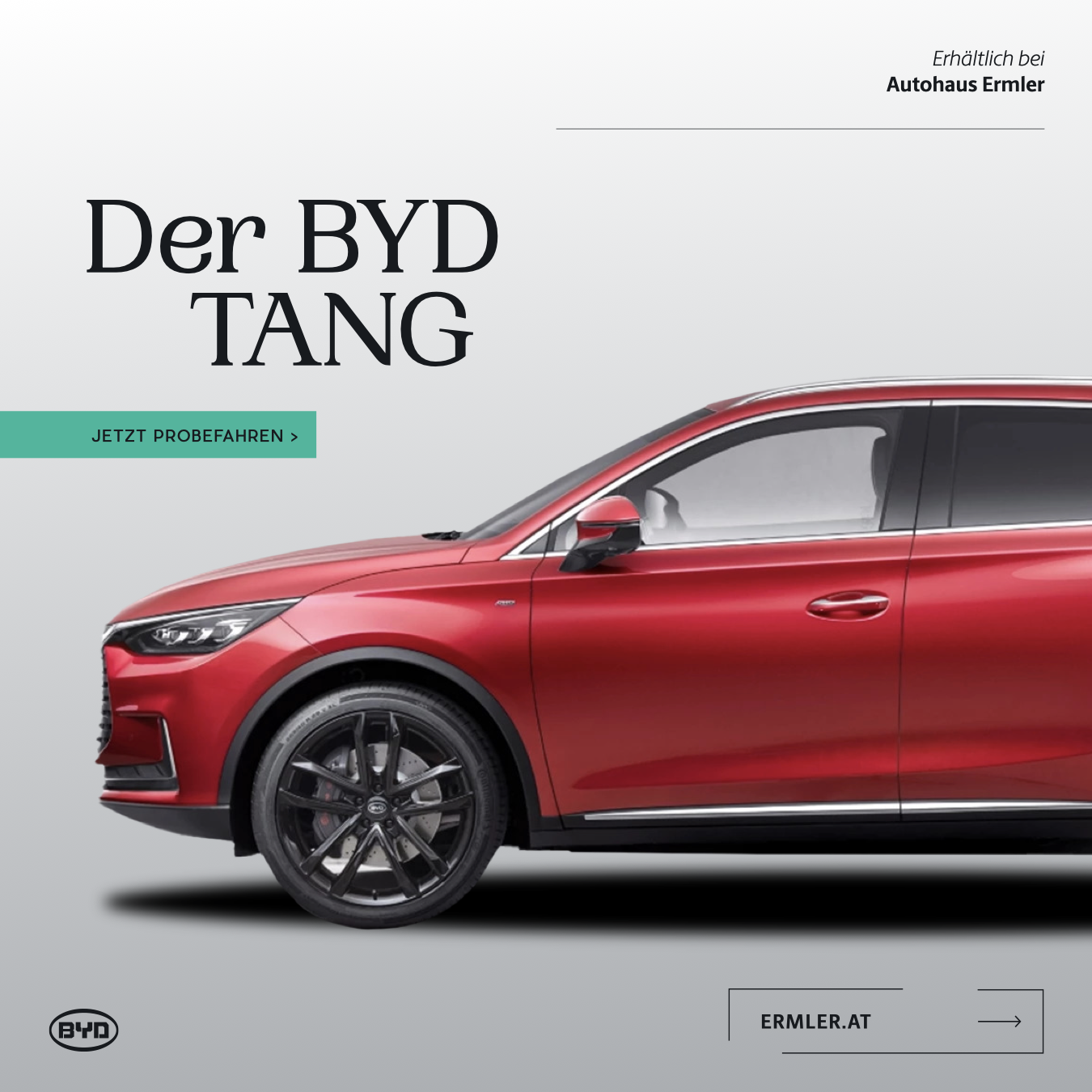 BYD Modell
