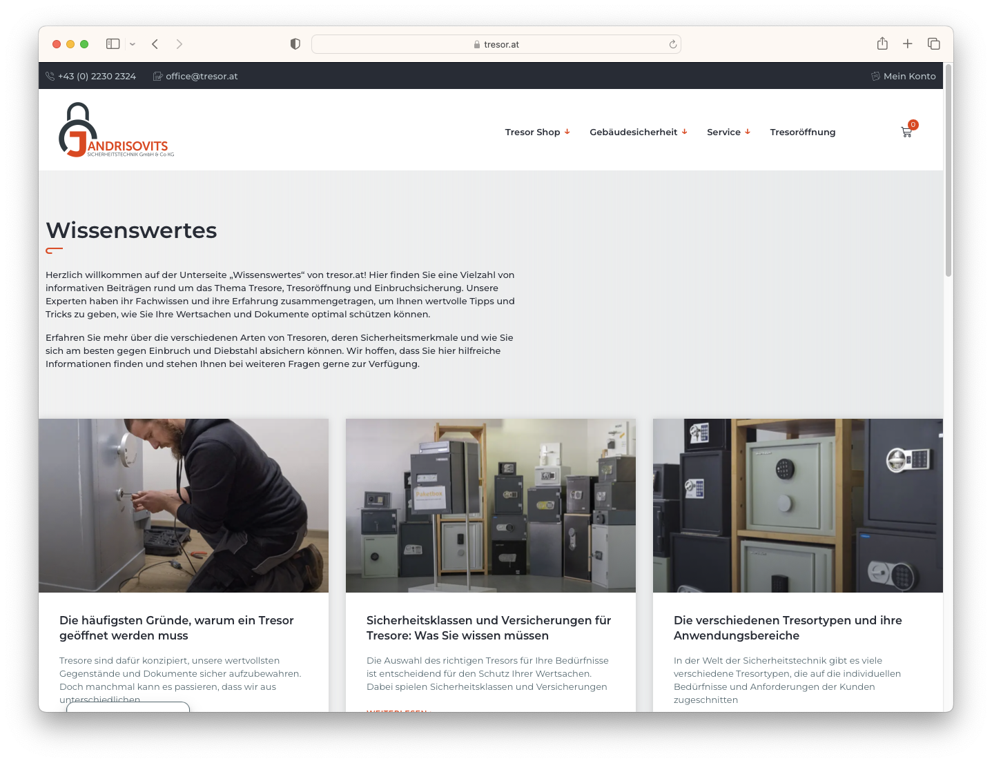 Tresor.at Webshop Ansicht