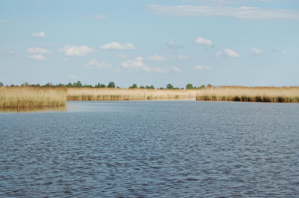 Erlebnisregion Carnuntum und Neusiedler See – Natur, Schilfgürtel und Weite