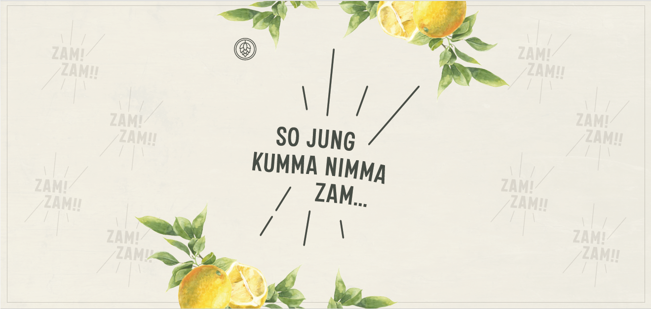schmuttis gin fizz die rupps banner